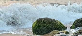 Neat & Clean Apartment, WiFi & AC in Mangaluru Close To The Beach