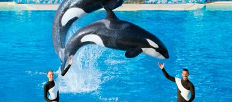 Charming 1 private bedroom in Kissimmee 4 bd home WiFi & AC close to everything!