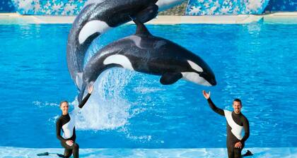 Charming 1 private bedroom in Kissimmee 4 bd home WiFi & AC close to everything!