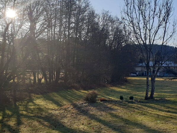 A grassy area with trees and a clear sky.