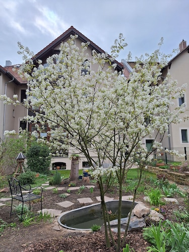 Zimmer 'Kleine Zillestube' mit Gemeinschaftsgarten und Wi-Fi