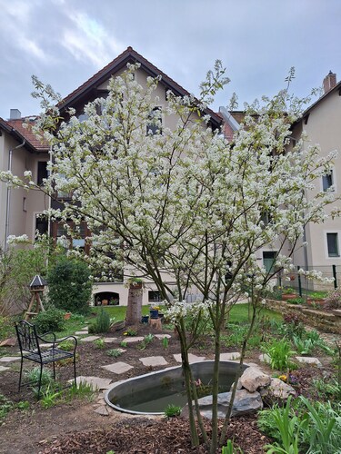 Zimmer 'Kleine Zillestube' mit Gemeinschaftsgarten und Wi-Fi