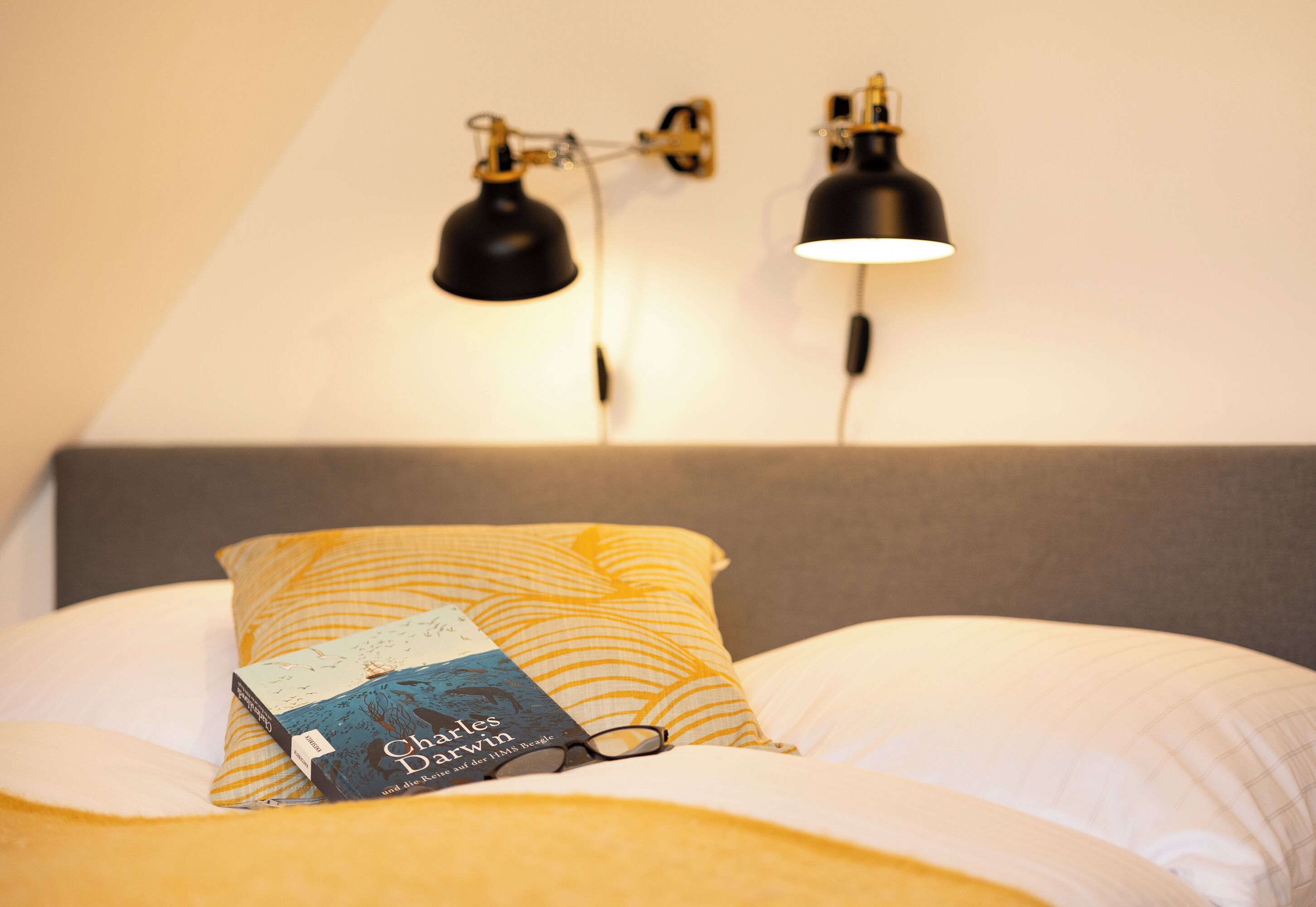 Una cama con un almohadón, un libro titulado 'Charles Darwin y el Beagle' y dos lámparas de pared.
