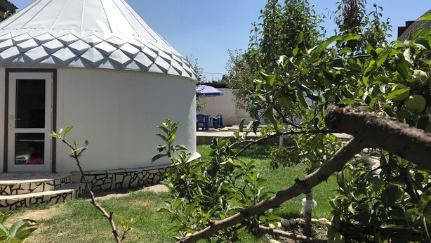 A white yurt with a conical roof, surrounded by a grassy yard and trees.