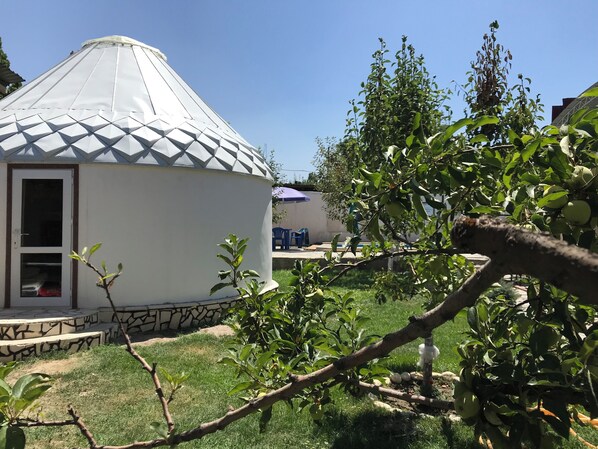 Sistema de insonorización y wifi gratis