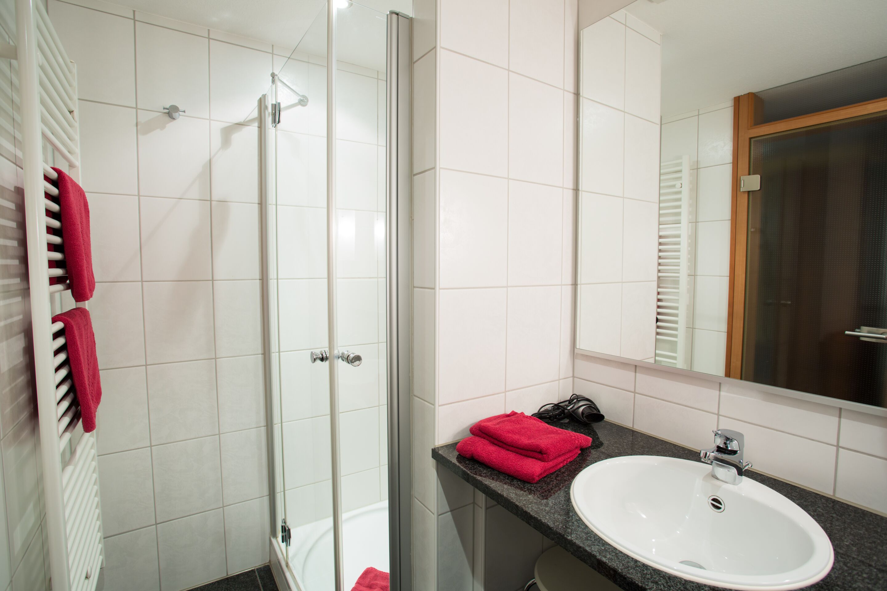 A bathroom with a glass shower enclosure, a white sink, and a mirror.