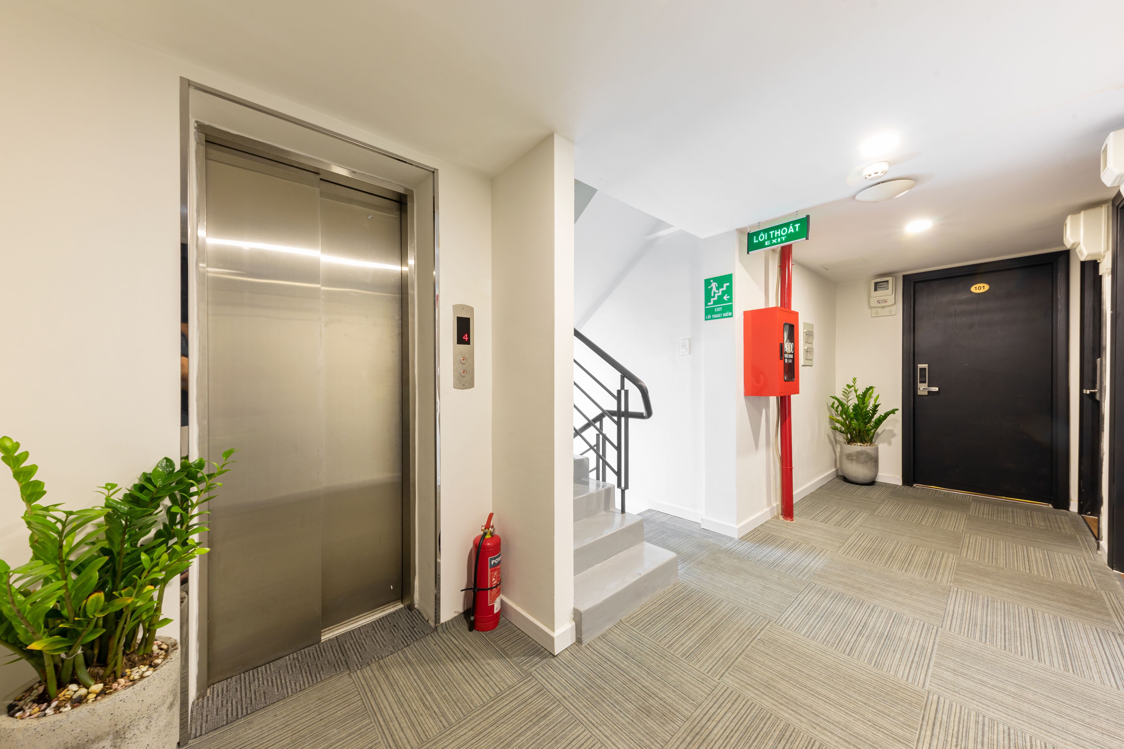 Foto - La Doma en Adagio - Sleep and Heal