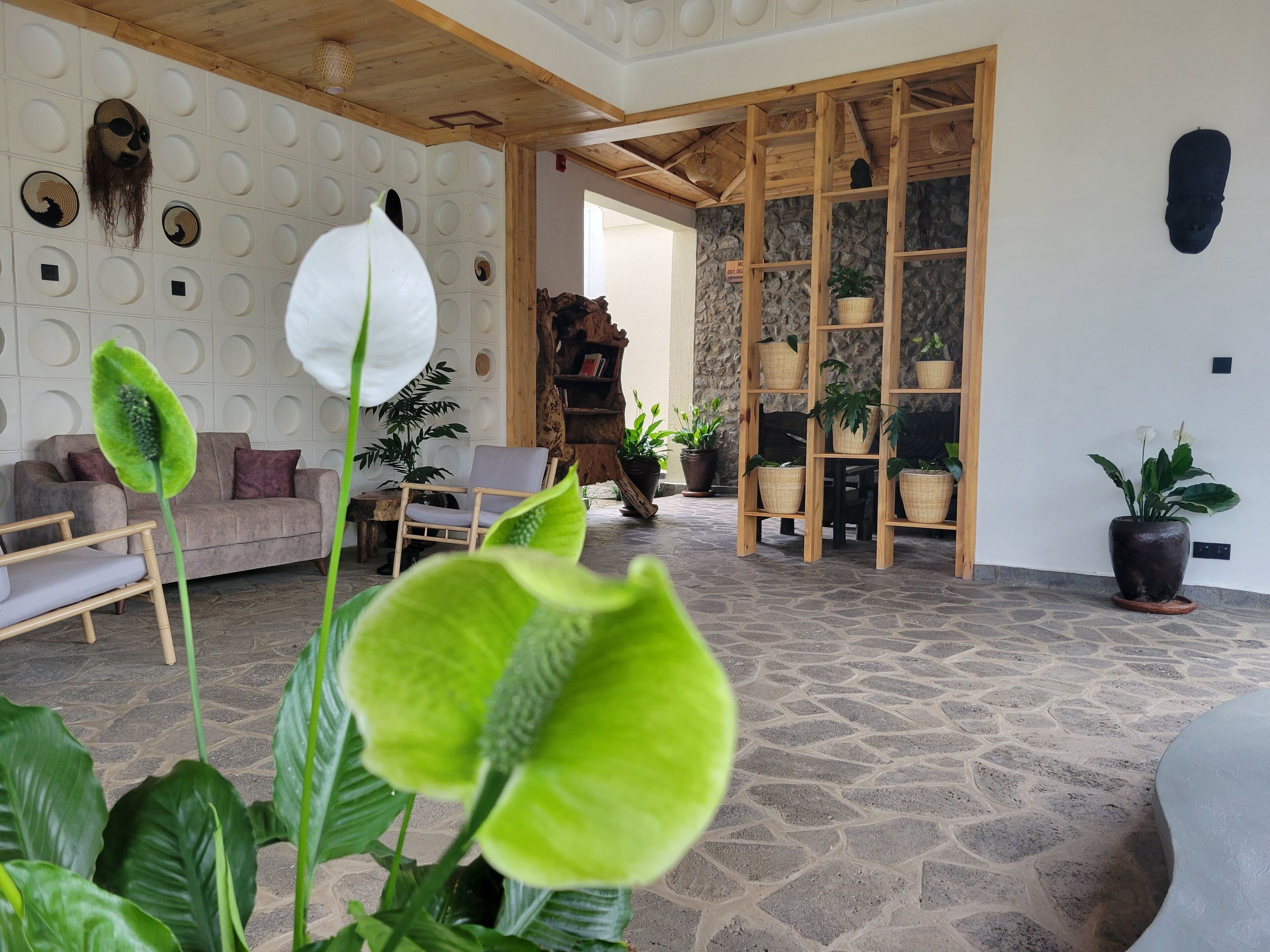 Un interior moderno con suelo de piedra, una silla de madera, un sofá y varias plantas en macetas.