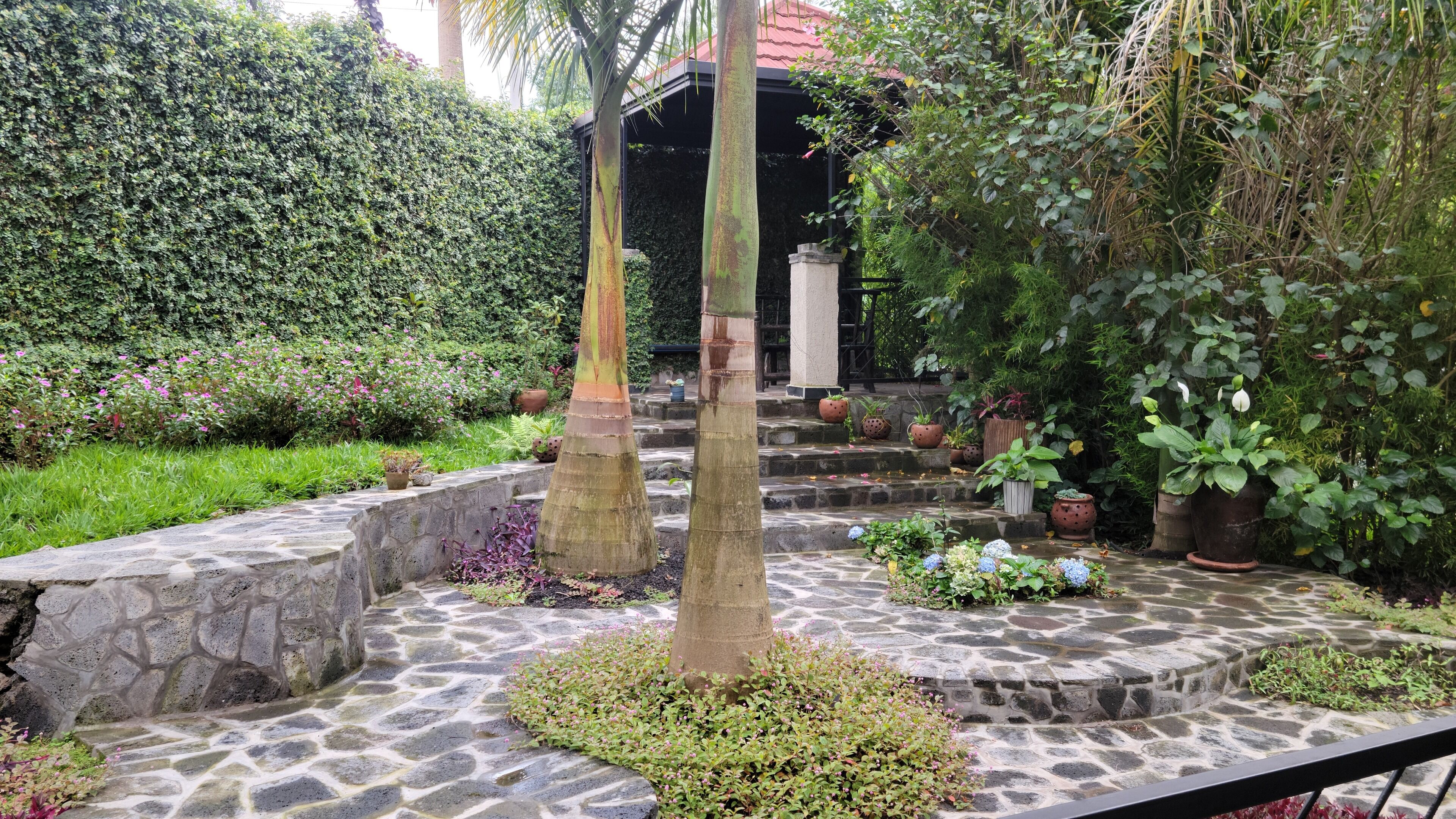 Un sendero de piedra que conduce a una zona cubierta con techo, rodeada de abundante vegetación y plantas en macetas.