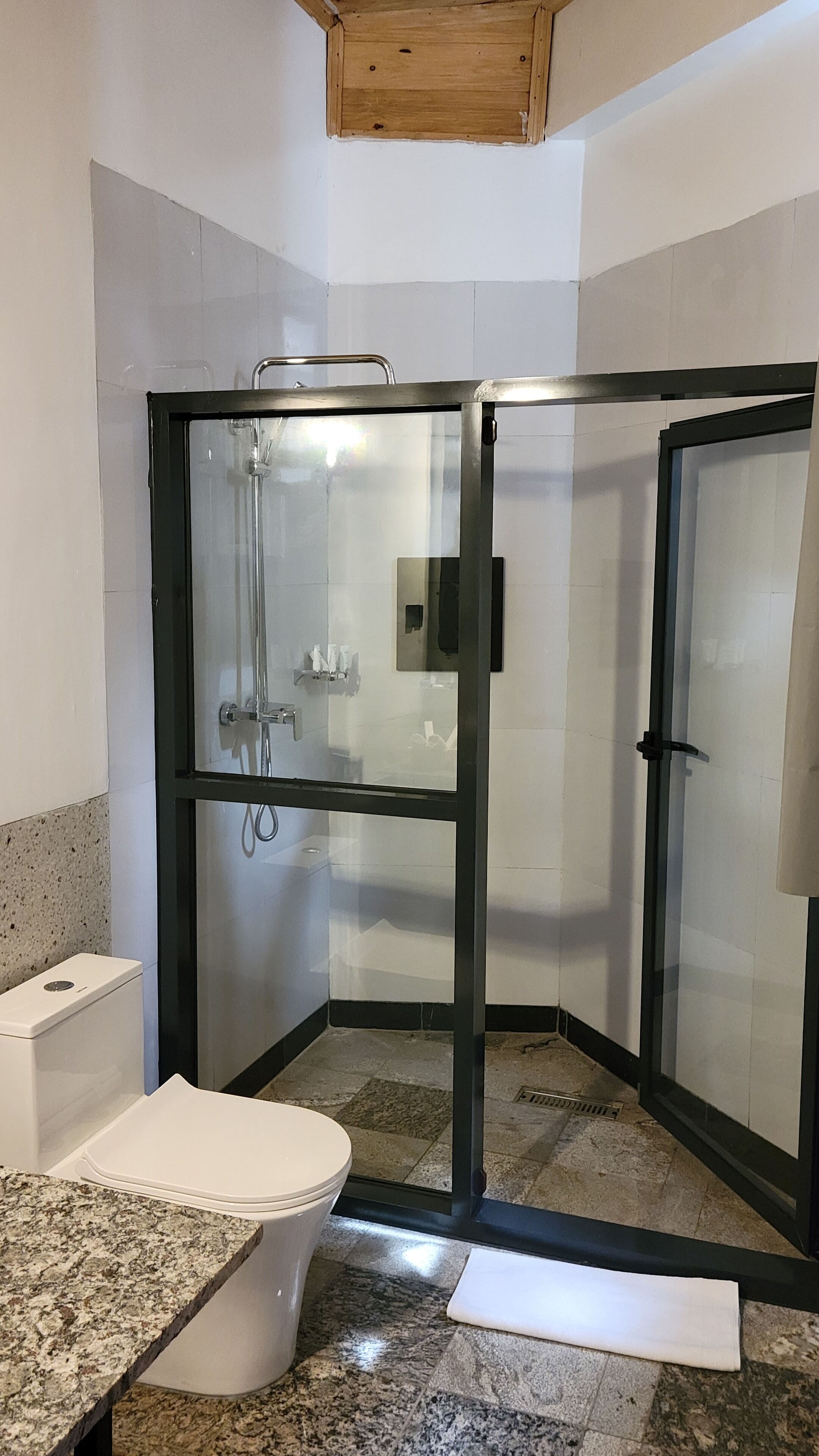 Une salle de bain moderne dotée d’une douche à parois de verre, de toilettes et d’un comptoir en granit.