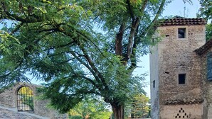 A rustic stone building with a tiled roof, a tree in the center, and a stone bridge in the background. - A Magnagnerie in Provence (Bouchet)