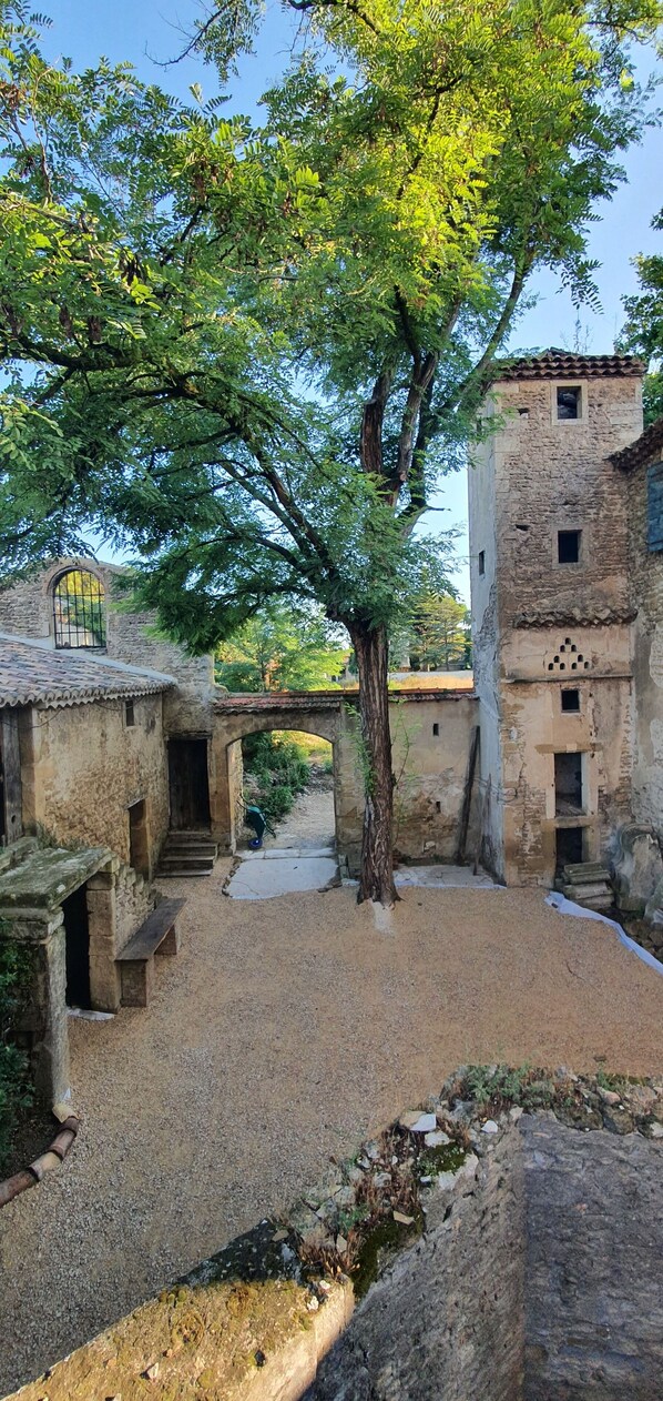 Property grounds - A Magnagnerie in Provence (Bouchet)