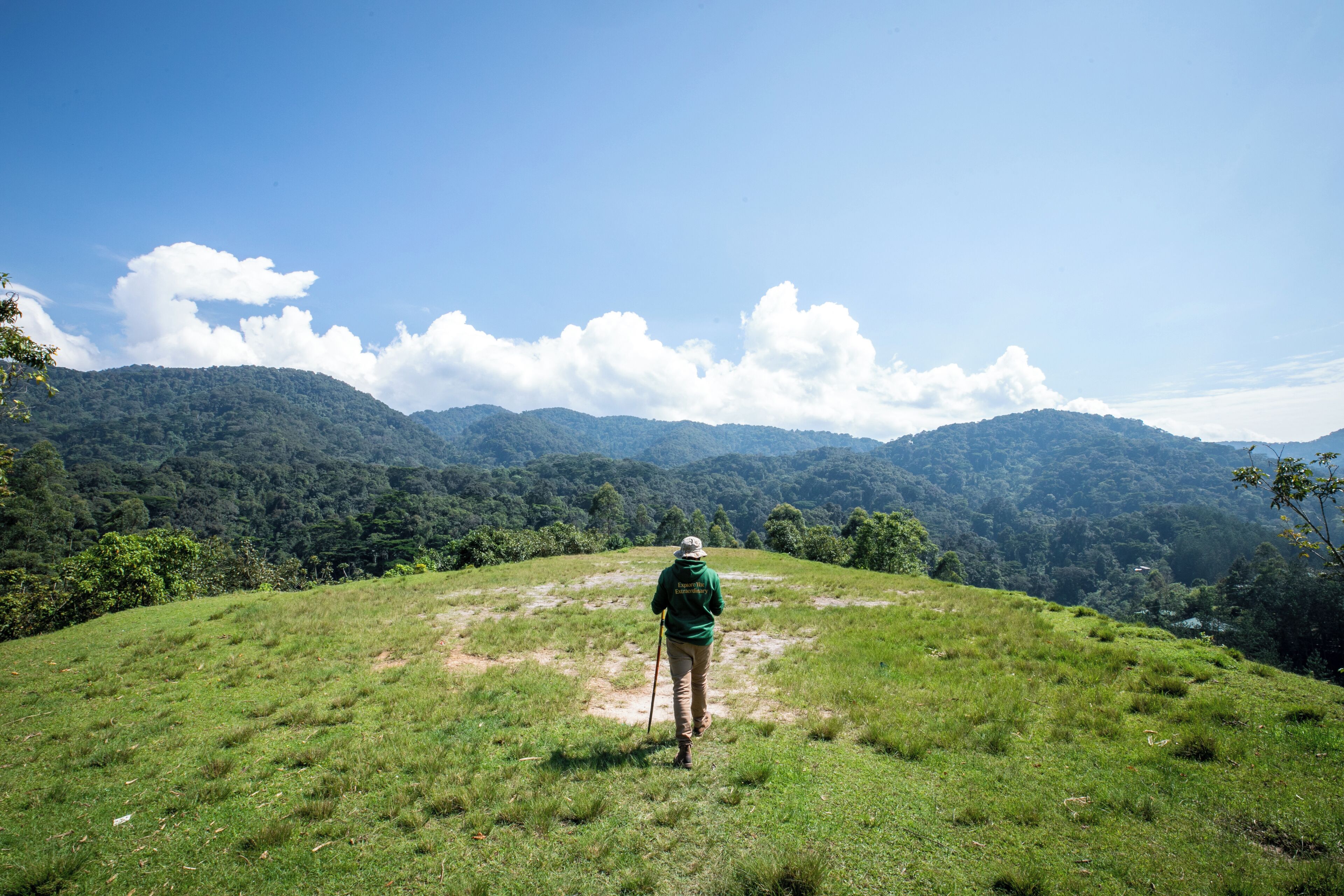 A person hiking on a grassy hill with a clear sky and mountains in the background.