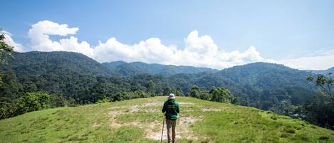 A person hiking on a grassy hill with a clear sky and mountains in the background.