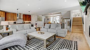 Smart TV, fireplace, video library