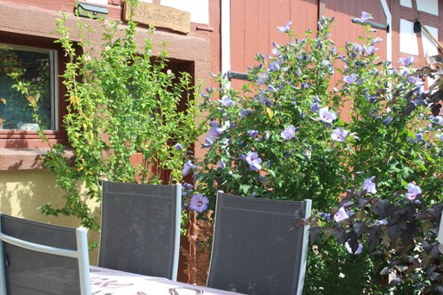 Schöne 2 Zimmer Wohnung  zwischen Schwarzwald, Bodensee und Schwäbischer Alb