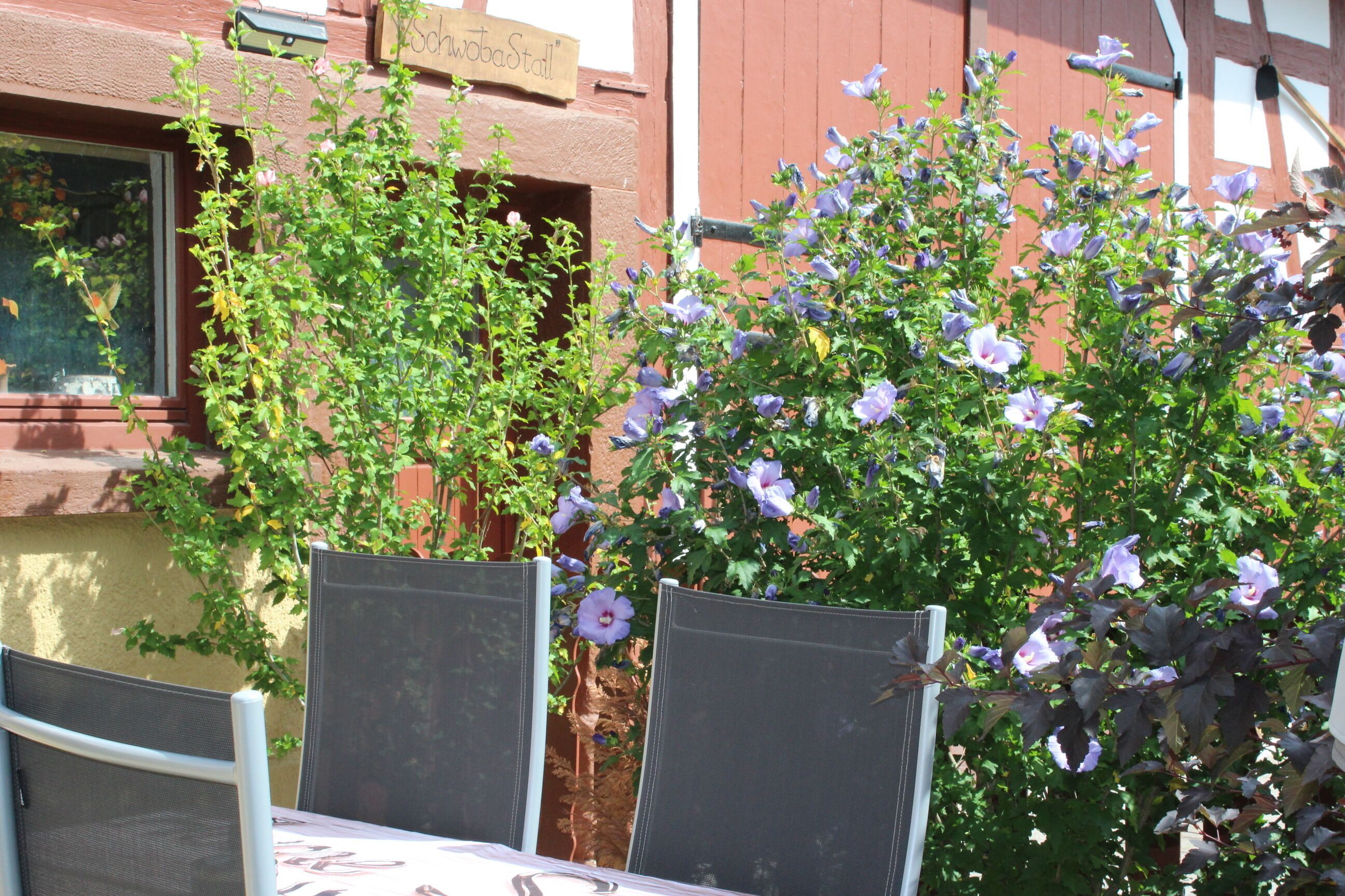 En utomhusplats med bord och stolar, omgiven av en trädgård med lila blommor.