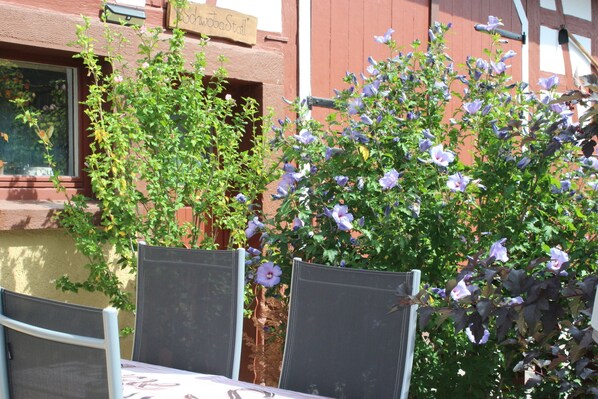 An outdoor seating area with a table and chairs, surrounded by a garden with purple flowers.