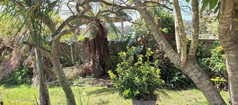 Comfy 3 bed house in Ulladulla