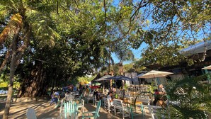 Un área de comedor al aire libre con sillas y mesas de madera, rodeada de árboles.