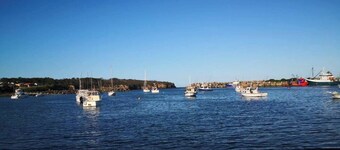Cozy tiny home in Ulladulla