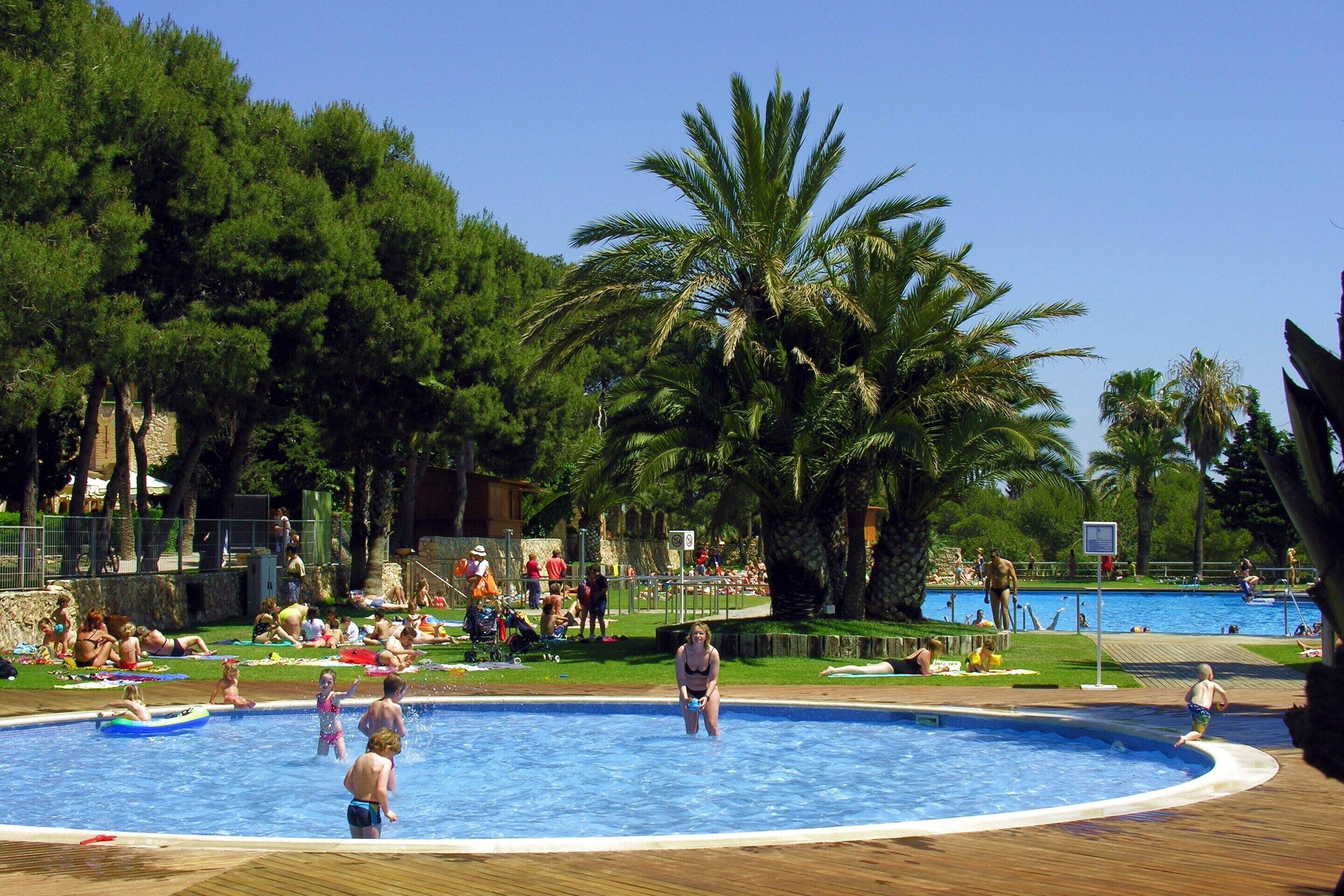 A swimming pool surrounded by palm trees and people.