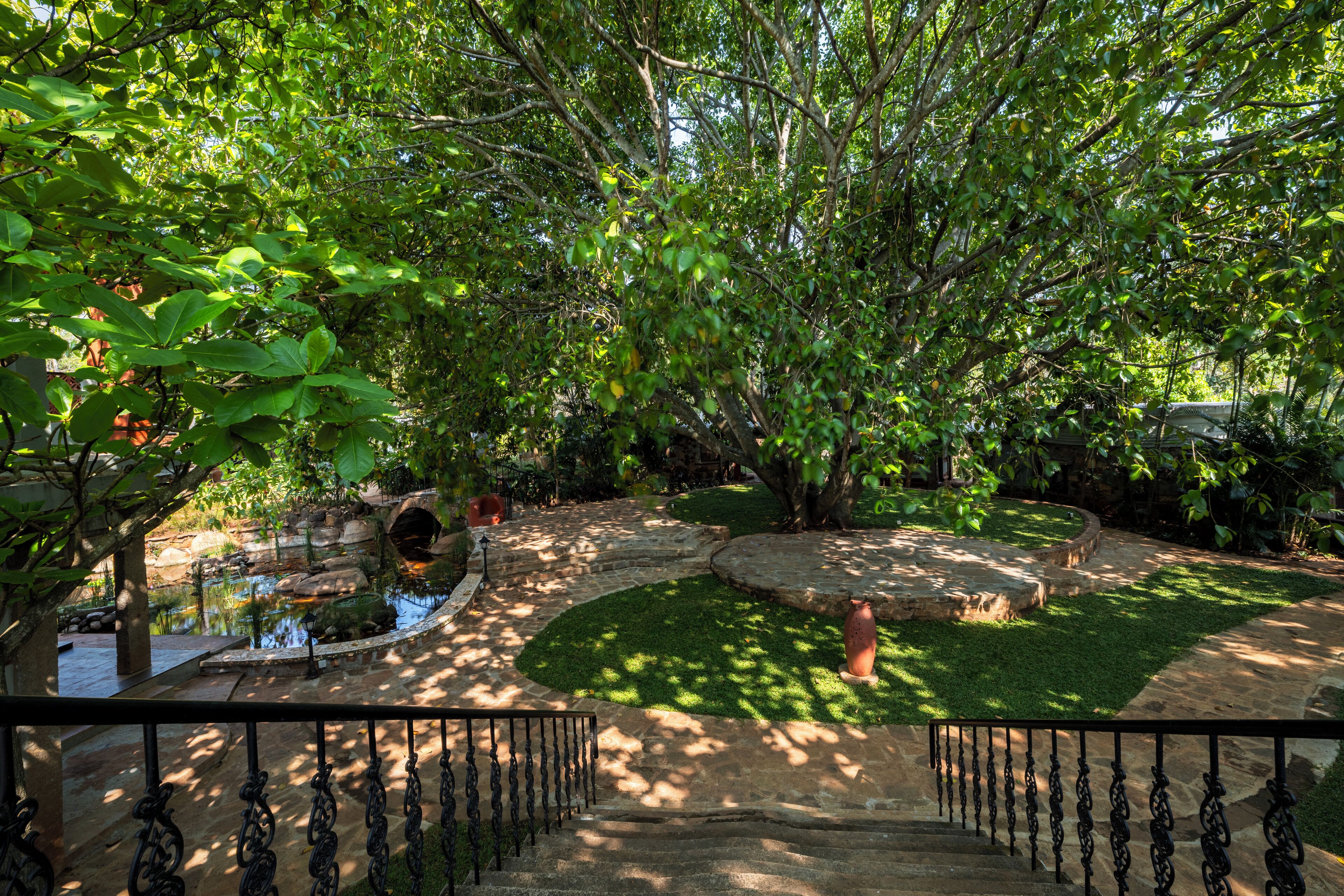 A garden with a stone pathway, a small pond, and a variety of trees and plants.