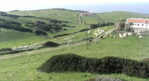 Imagen general