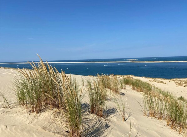 Beach - Apartement, one bedroom, facing the train station totally cosy and luxury place. (Arcachon)