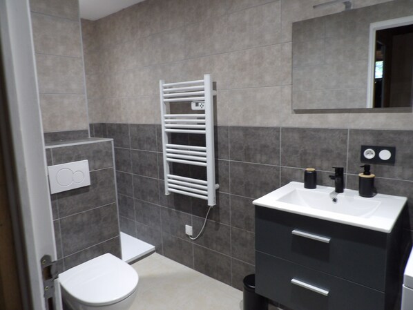 Shower, hair dryer, towels, toilet paper
