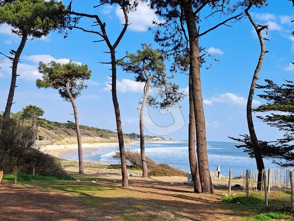 Strand