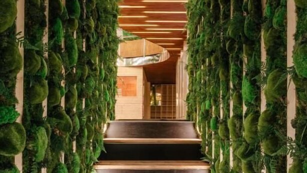 Una escalera con escalones de madera y paredes cubiertas de follaje verde.