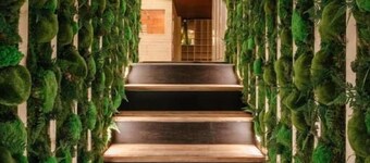 Wellness Rooms Central