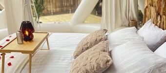 An unusual night on the lakeshore under a Dome