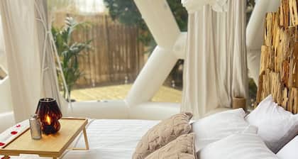 An unusual night on the lakeshore under a Dome