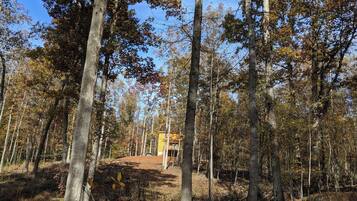 Área da propriedade