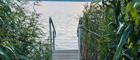 Un muelle de madera que conduce a un lago tranquilo, rodeado de vegetación densa.