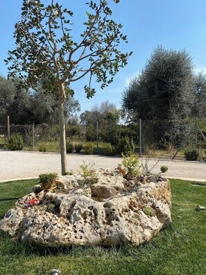 المنطقة المحيطة بالمنشأة