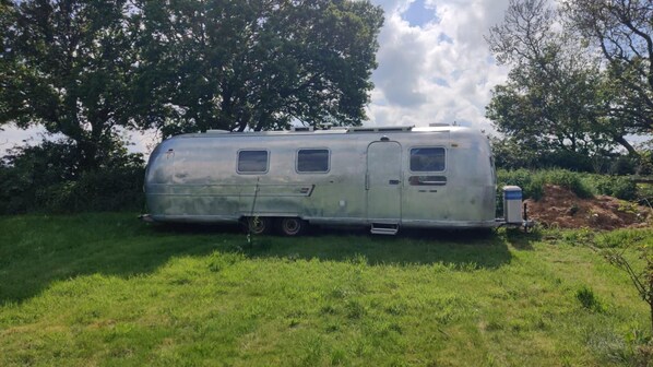Ein silberner Wohnmobilwagen steht auf einer Wiese, im Hintergrund sind Bäume zu sehen.
