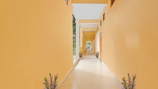 A corridor with yellow walls, potted plants, and a tiled floor.