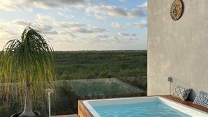 En pool på taket med ett tr ädäck, en krukväxt och utsikt över landskapet.