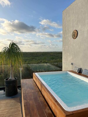 A rooftop pool with a wooden deck, a potted plant, and a view of the landscape.