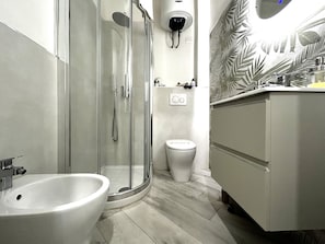 Shower, hair dryer, bidet, towels