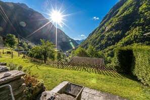 Family Chalet, Multiple Bedrooms, Mountainside (Rustico Over The Bridge Verzasca 1) | Property grounds - Rustico Over The Bridge Verzasca (Sonogno)