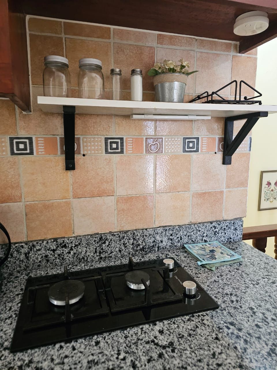 A kitchen with a gas stove, a shelf with jars and a potted plant, and a decorative backsplash.