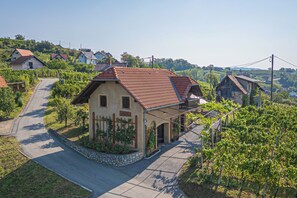 A rural house with a red-tiled roof, surrounded by vineyards, and a paved driveway leading to the entrance. - Vineyard Cottage Brodaric (Metlika)