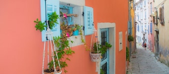 Peaceful Istria Apartments