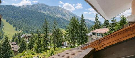 Family Apartment, Multiple Bedrooms (Appartamento Quota 1800) | Property grounds