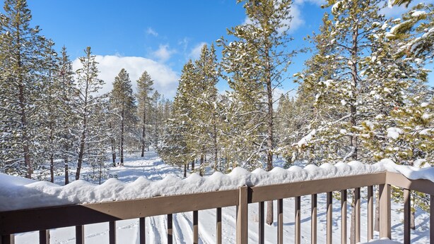 Un muelle cubierto de nieve con vista a un bosque de árboles de hoja perenne.