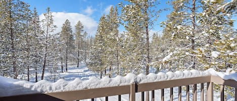 House, 4 Bedrooms | Property grounds